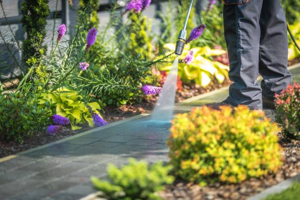 Best Concrete Surface Cleaning in Emeryville, CA